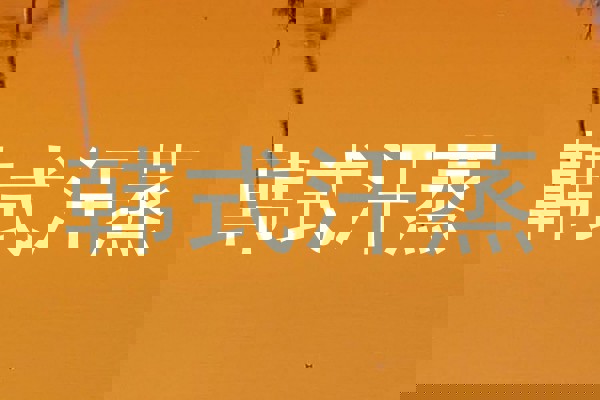 韩式汗蒸
