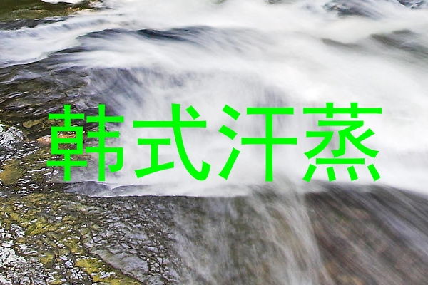 韩式汗蒸