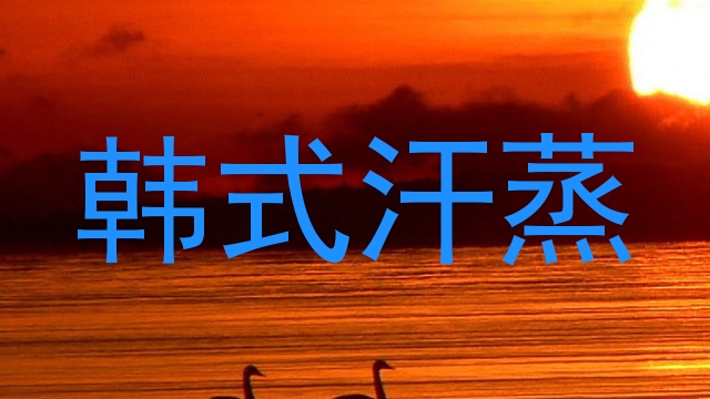 韩式汗蒸