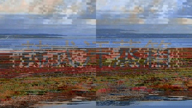 韩式汗蒸箱