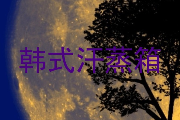 韩式汗蒸箱