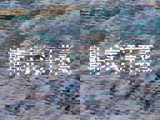 韩式汗蒸
