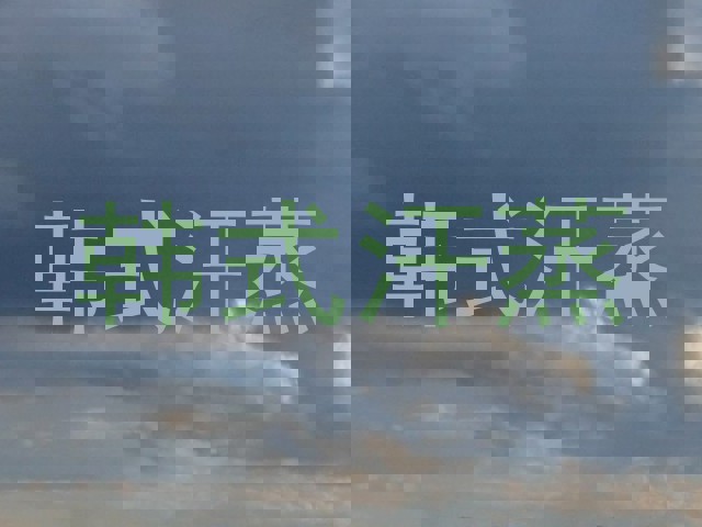 韩式汗蒸