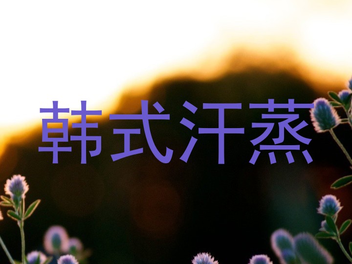 韩式汗蒸