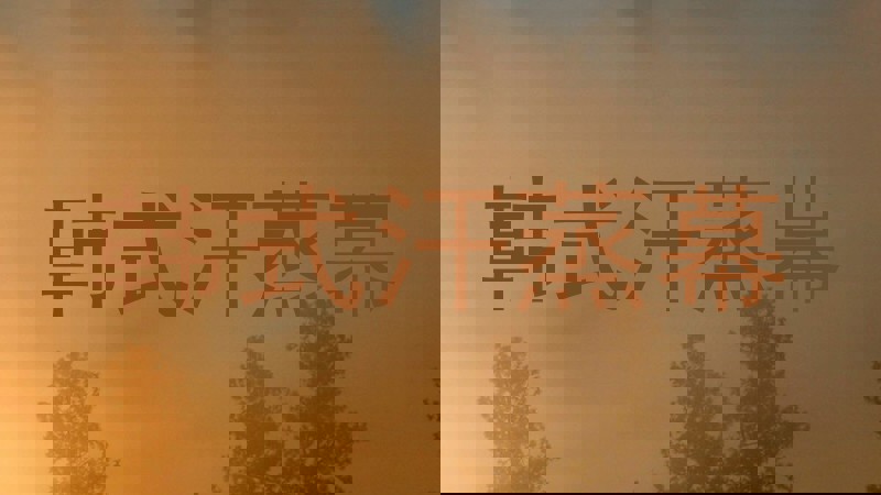 韩式汗蒸幕