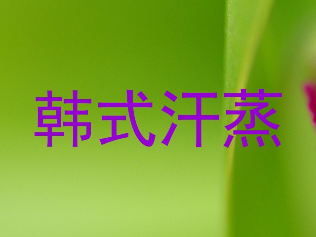 韩式汗蒸