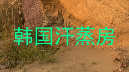 韩国汗蒸房