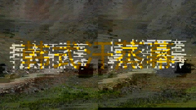 韩式汗蒸幕