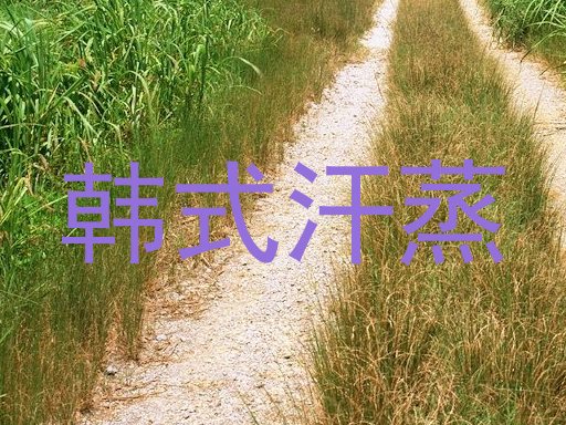 韩式汗蒸