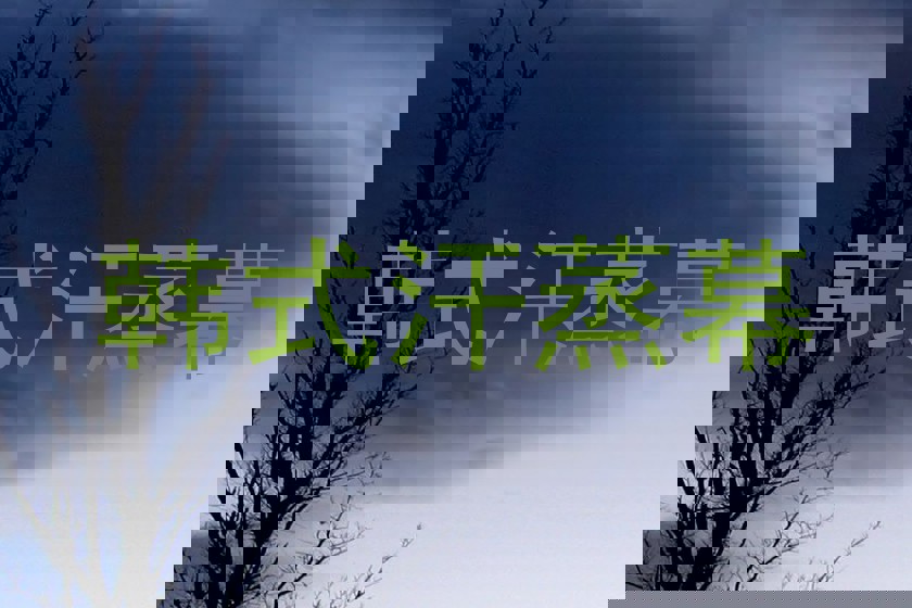 韩式汗蒸幕