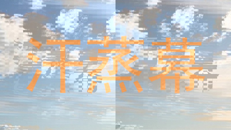 汗蒸幕