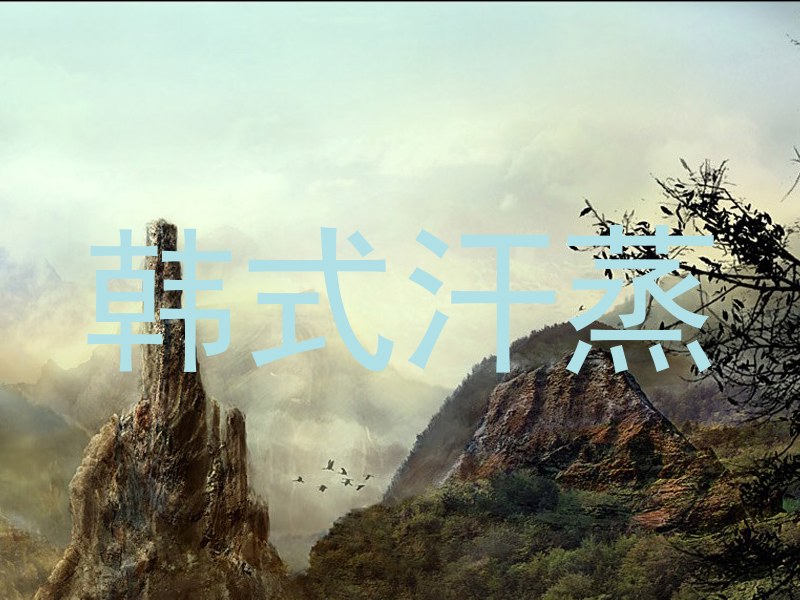 韩式汗蒸