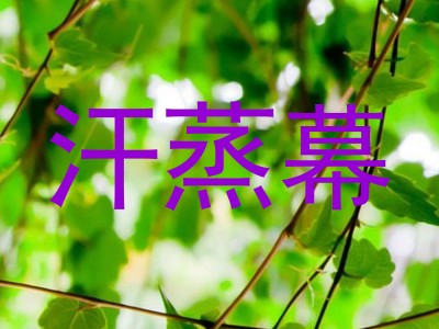 汗蒸幕