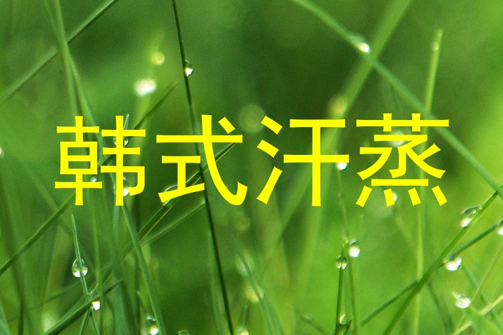 韩式汗蒸