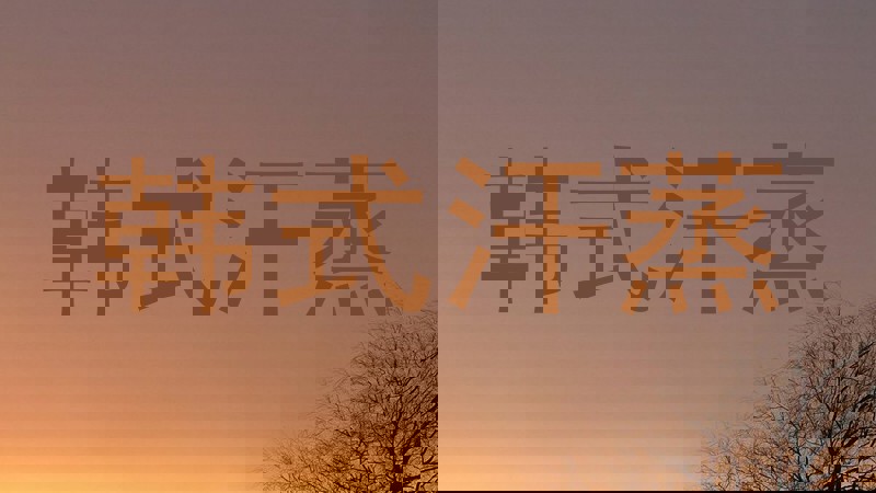 韩式汗蒸