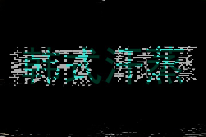 韩式汗蒸