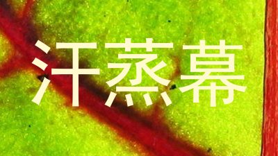 汗蒸幕