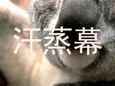 汗蒸幕
