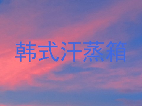 韩式汗蒸箱