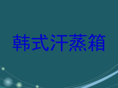 韩式汗蒸箱