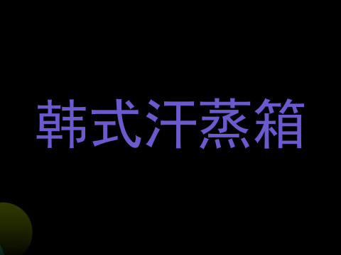 韩式汗蒸箱