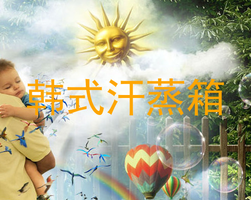 韩式汗蒸箱