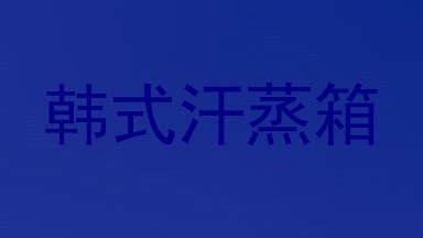韩式汗蒸箱
