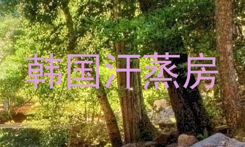 韩国汗蒸房