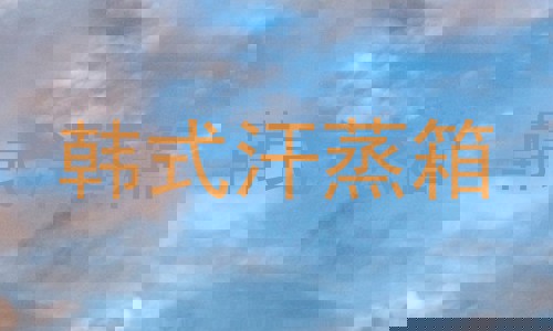 韩式汗蒸箱
