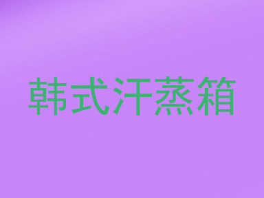 韩式汗蒸箱
