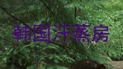 韩国汗蒸房