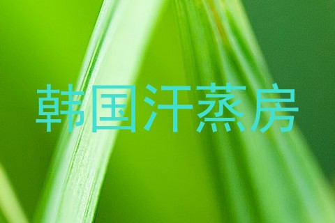 韩国汗蒸房