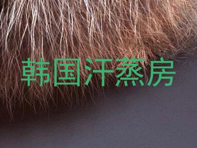 韩国汗蒸房