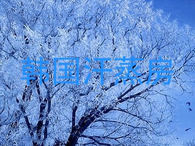 韩国汗蒸房