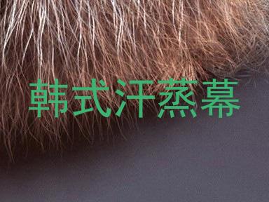 韩式汗蒸幕