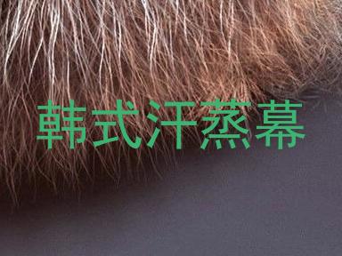 韩式汗蒸幕