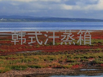 韩式汗蒸箱