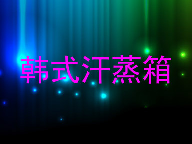 韩式汗蒸箱