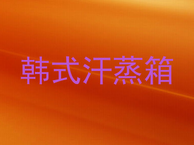 韩式汗蒸箱