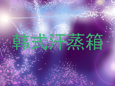 韩式汗蒸箱