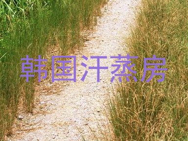 韩国汗蒸房