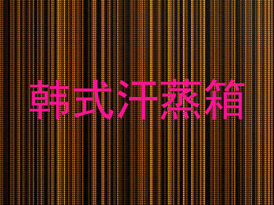 韩式汗蒸箱