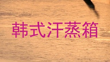 韩式汗蒸箱