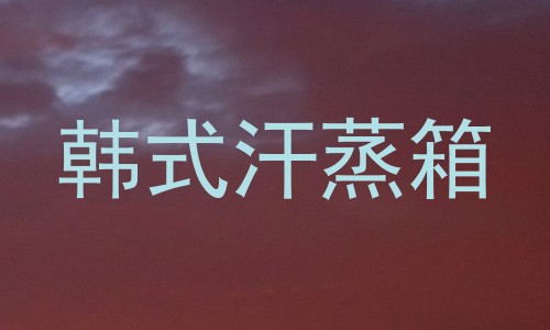 韩式汗蒸箱