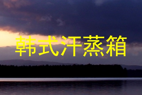 韩式汗蒸箱