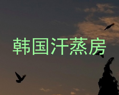 韩国汗蒸房