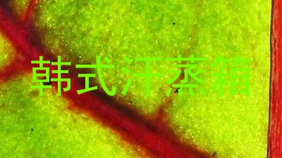 韩式汗蒸箱