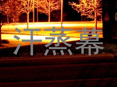 汗蒸幕