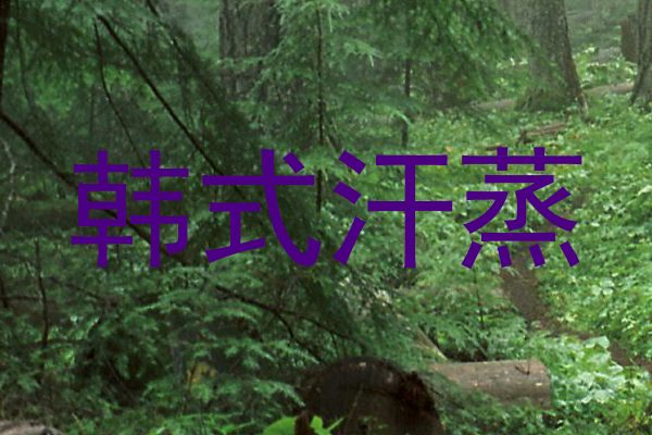 韩式汗蒸