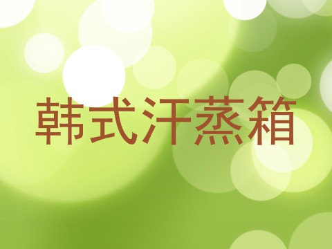 韩式汗蒸箱